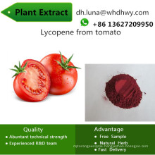 Lycopene Male Supplement CAS: 502-65-8 Prevention of Prostate Cancer Lycopene